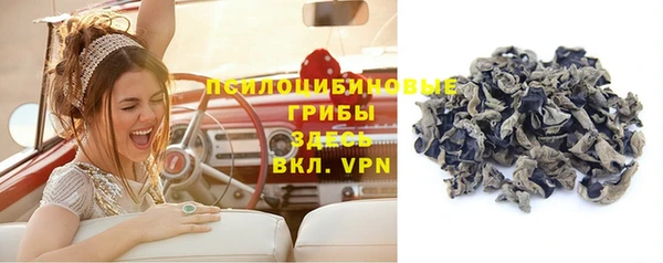 гидропоника Аркадак