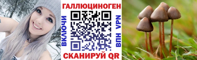 Псилоцибиновые грибы GOLDEN TEACHER  OMG   Козельск 